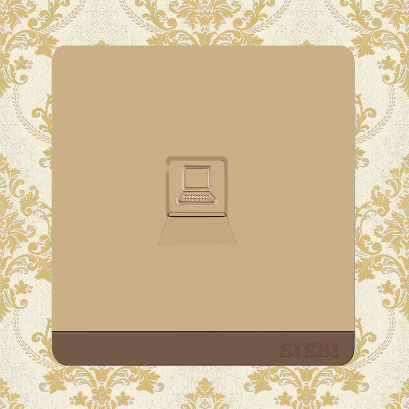 1 Gang Internet Socket