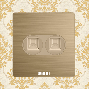 2 Gang Internet Socket