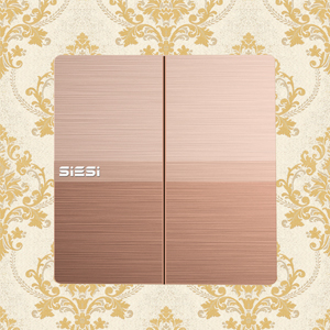 10A Two Gang 1 Way Wall Switch