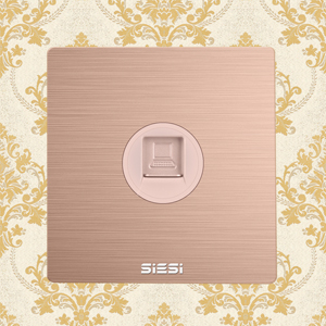 1 Gang Internet Socket