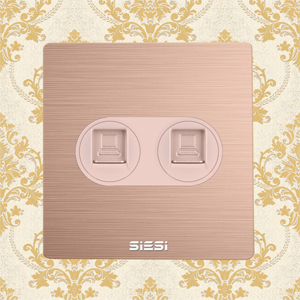 2 Gang Internet Socket