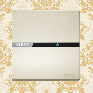 10A One Gang 1 Way Wall Switch