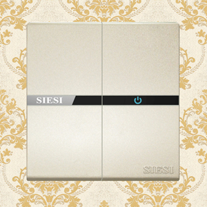 10A Two Gang 1 Way Wall Switch