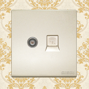 TV Socket and Telephone Socket 2 in 1