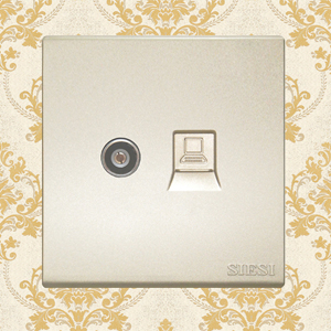 TV Socket and Internet Socket 2 in 1