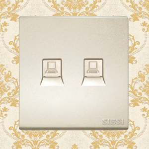 2 Gang Internet Socket