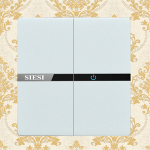 10A Two Gang 1 Way Wall Switch