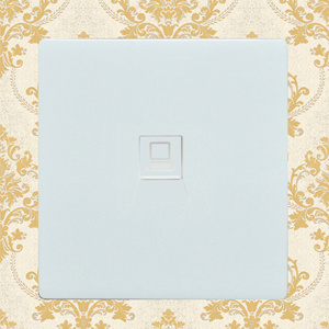 1 Gang Internet Socket