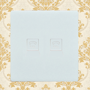 2 Gang Telephone Socket