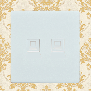 2 Gang Internet Socket