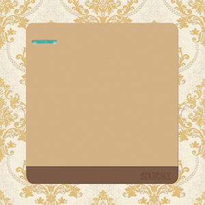 10A One Gang 1 Way Wall Switch