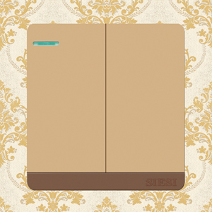 10A Two Gang 1 Way Wall Switch