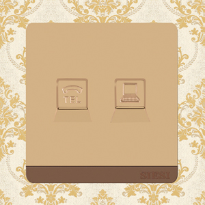 Telephone Socket and Internet Socket 2 in 1