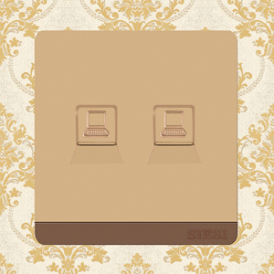 2 Gang Internet Socket