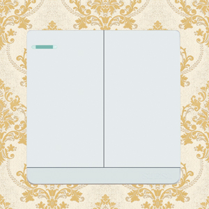 10A Two Gang 1 Way Wall Switch