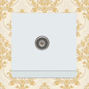 1 Gang TV Socket