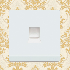 1 Gang Internet Socket