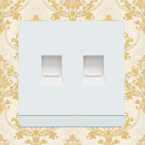 2 Gang Telephone Socket