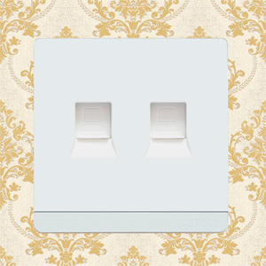 2 Gang Internet Socket