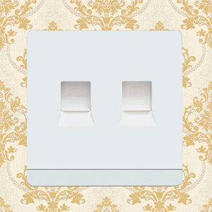 Telephone Socket and Internet Socket 2 in 1