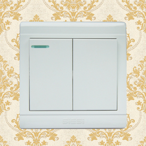 10A Two Gang 1 Way Wall Switch