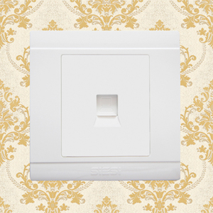 1 Gang Internet Socket