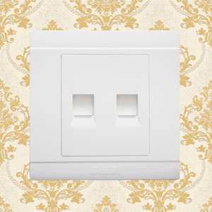 2 Gang Internet Socket