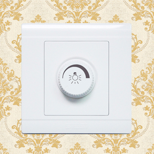 Light Dimmer Switch