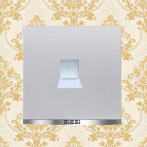 1 Gang Internet Socket