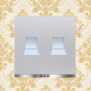 2 Gang Internet Socket