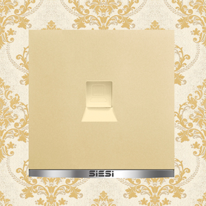 1 Gang Internet Socket