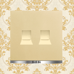 2 Gang Internet Socket